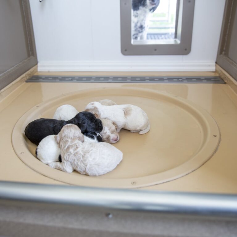 Accu Temp Whelping Nest | Dog Whelping Products