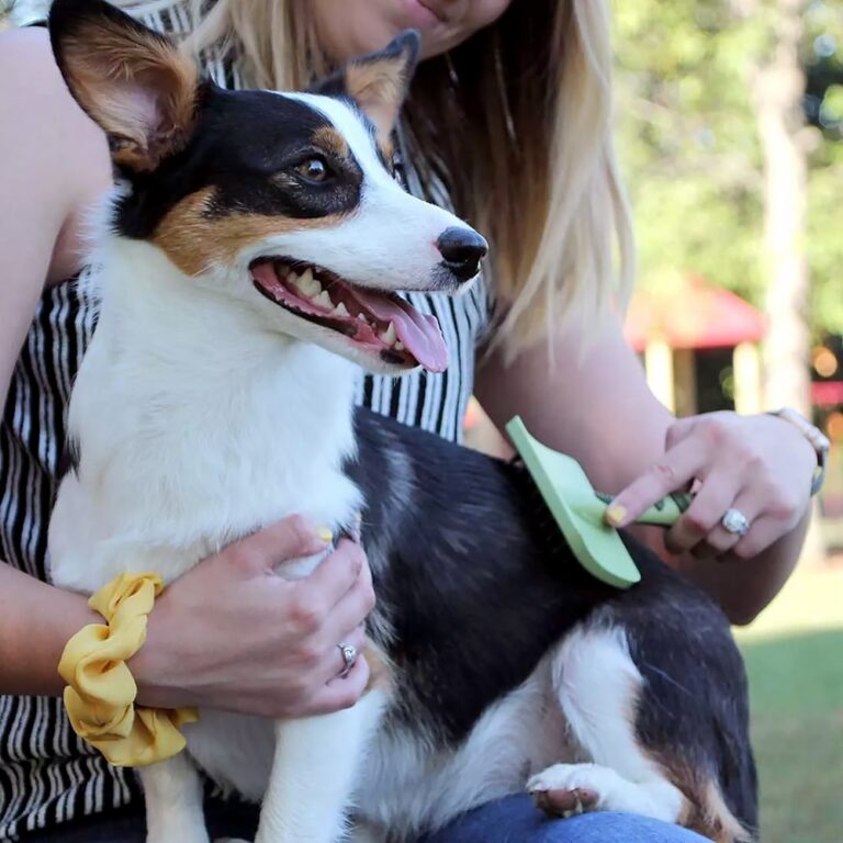 Coastal Pet Safari Complete Dog Brush