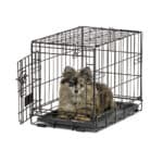 Contour® Single Door Dog Crate