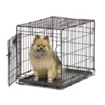 Contour® Single Door Dog Crate