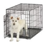Contour® Single Door Dog Crate