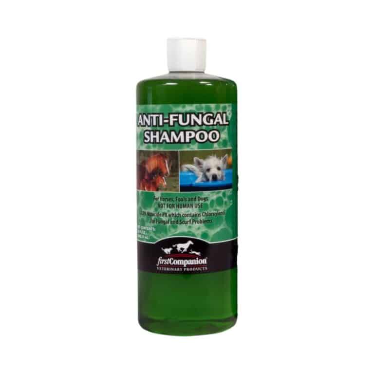 Bottle of anti-fungal shampoo