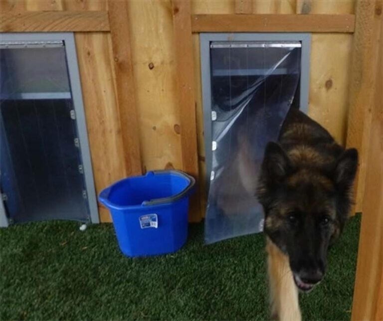 3-Sided Exterior Professional Kennel Door