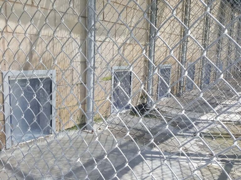 3-Sided Exterior Professional Kennel Door