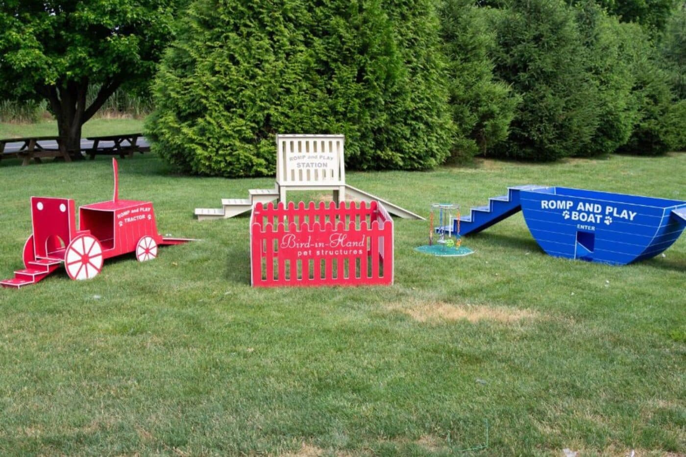 Dog playground equipment in backyard.