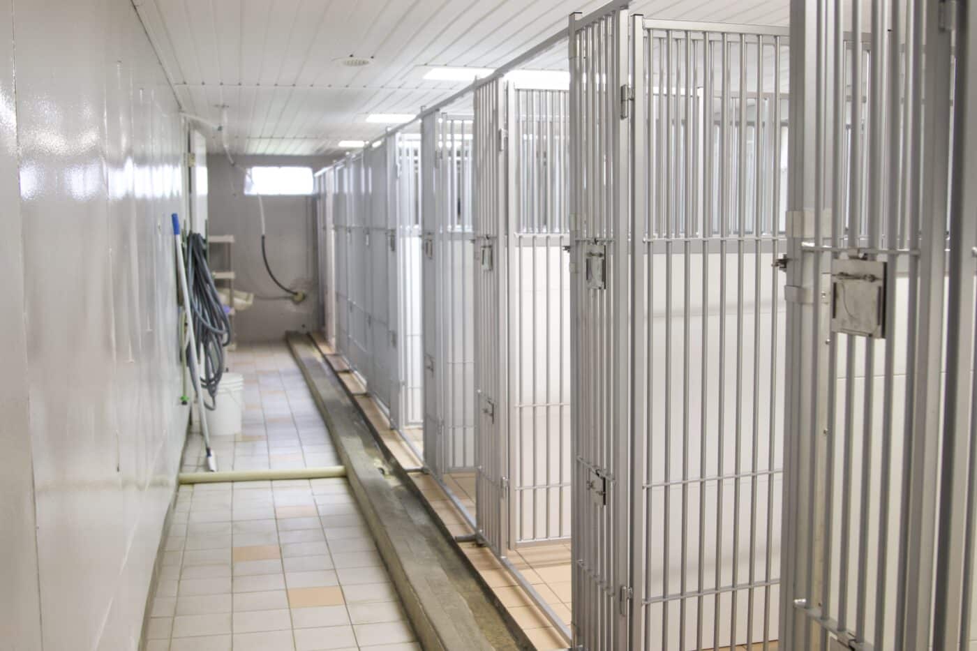 metal dog kennels