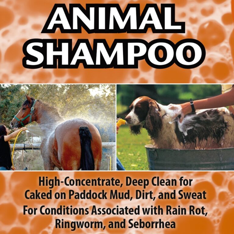 First Companion Animal Shampoo - Pina Colada