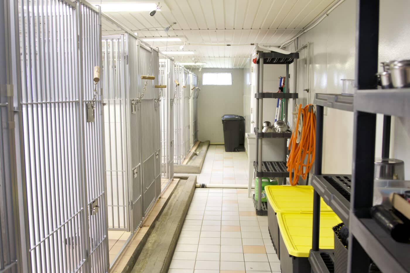 hook system on dog kennels in hallway with shelves along hall that have water bowls on them