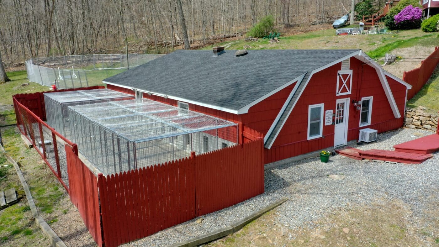 red dog boarding business building with kennels in side yard with red fenced in area and backyard chain link fence